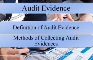 Audit Evidence