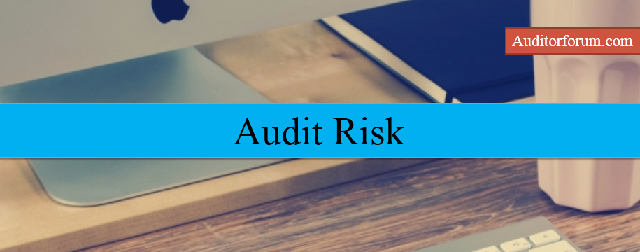 Audit Risk