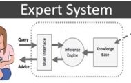 EXPERT-SYSTEM